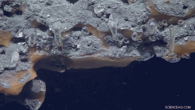 New research uncovers methane s breakthrough through oceanic ice barriers