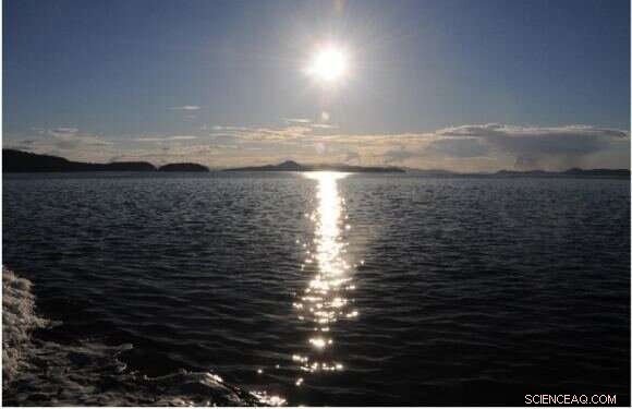 Satellite Imaging Reveals Pollution Trails of Individual Ships