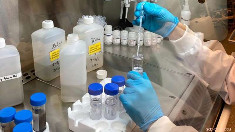 Revolutionary Sewage Analysis Technique Enhances SARS‑CoV‑2 Detection Across Diverse Systems