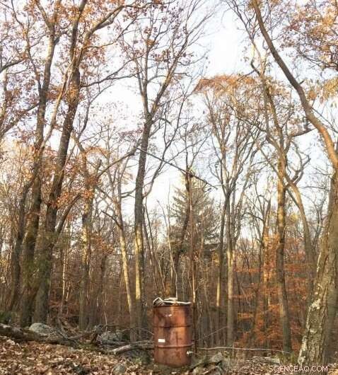 Abandoned Seismometer: The Final Echo of a Dormant Earthquake Monitoring Program