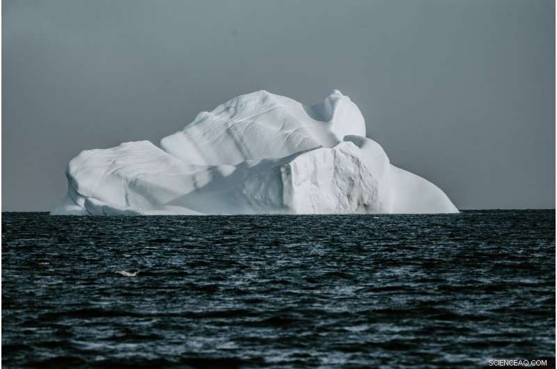 Copernicus Satellites Track Icebergs to Protect Vendée Globe Sailors