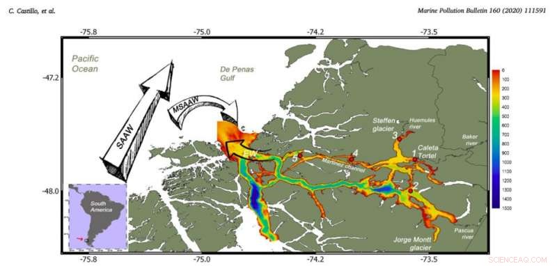Microplastics Found in Every Sample from Remote Patagonian Fjord System