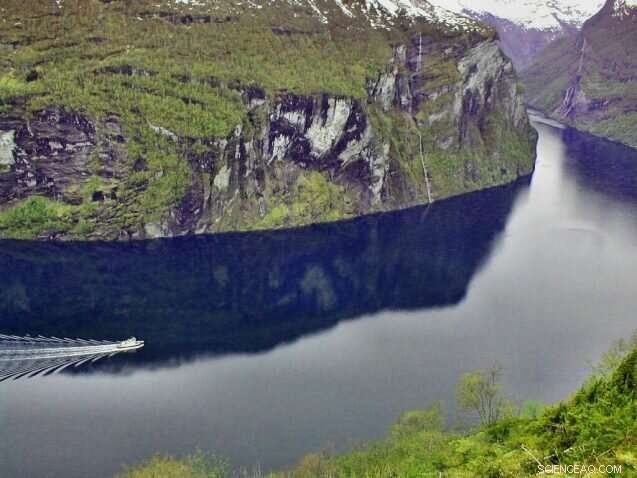 Microplastics Found in Every Sample from Remote Patagonian Fjord System