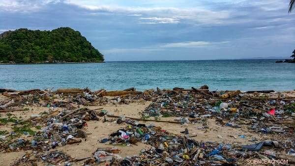 Can Nations End Overfishing and Plastic Pollution Within a Decade?