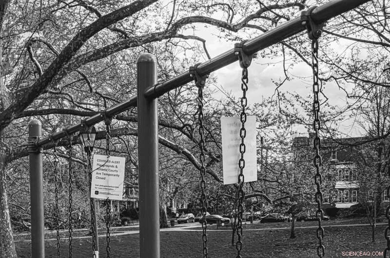 Building Resilient Urban Futures: Strategies for Healthier, Greener, and Equitable Cities