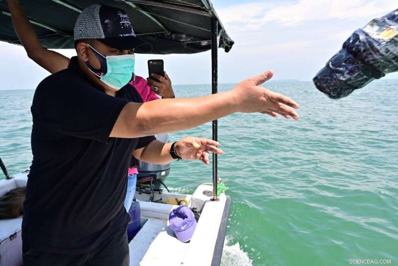 Indonesia Uses Satellite-Tracking to Combat Marine Plastic Waste