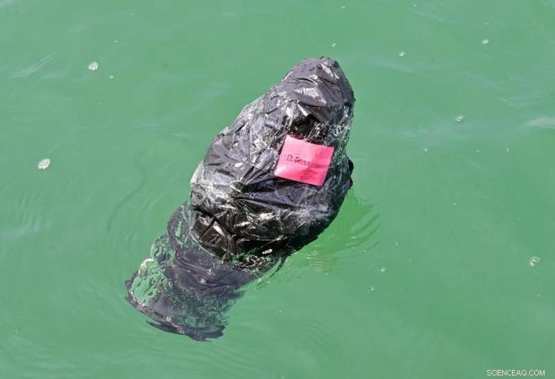 Indonesia Uses Satellite-Tracking to Combat Marine Plastic Waste