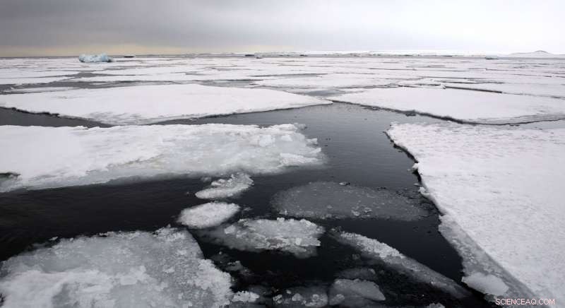 Rapid Climate Shift Parallels Northern Sea Ice Decline: Findings from Niels Bohr Institute
