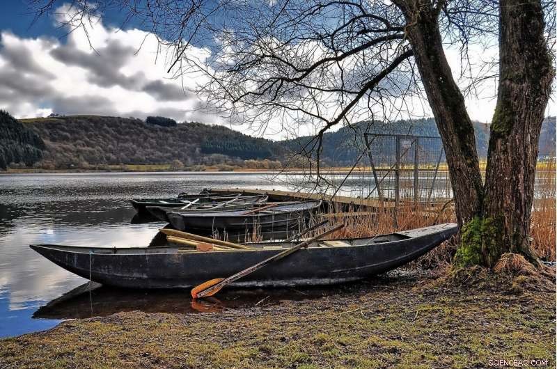 Phytolith Evidence Uncovers Seasonal Drought Patterns in Tropical East Asia Over the Past 60,000 Years