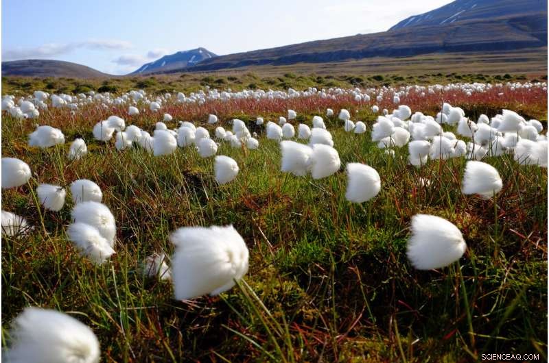 Preserving Peatlands Is Key to Limiting Climate Change