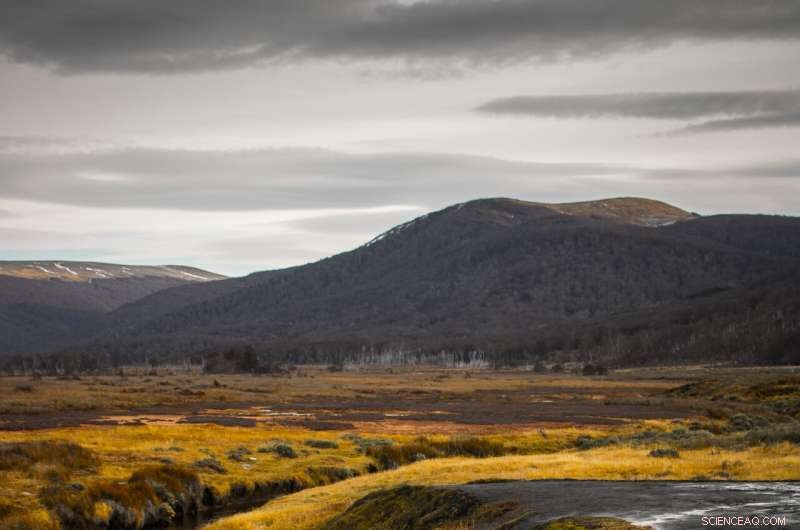 Preserving Peatlands Is Key to Limiting Climate Change