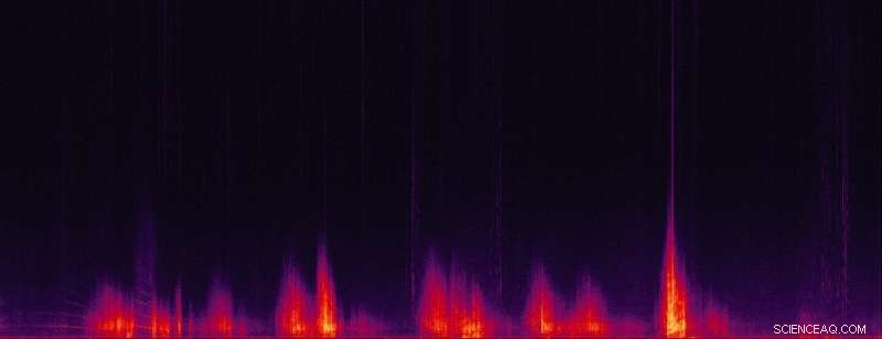 Military Flights Drive Highest Noise Pollution on Olympic Peninsula