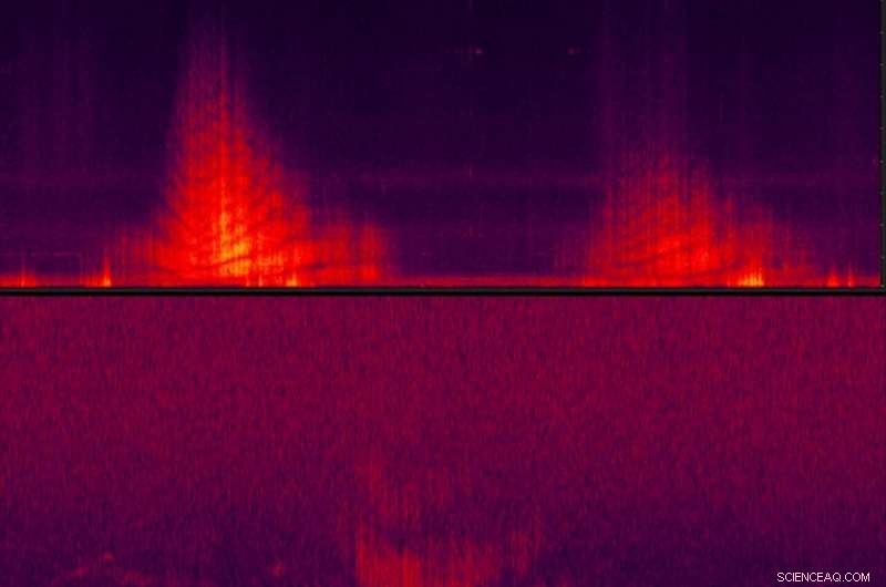 Military Flights Drive Highest Noise Pollution on Olympic Peninsula