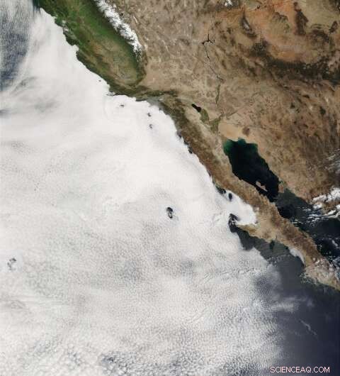 New Study Shows How Radiation Changes Break Up Ocean‑Covering Clouds