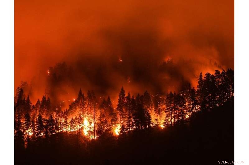 Scientists Identify Key Factors Driving Rising Wildfire Risk