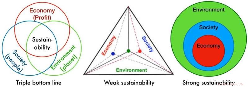 New Sustainability Definition Eliminates Critical Flaw in Global Transformation Efforts