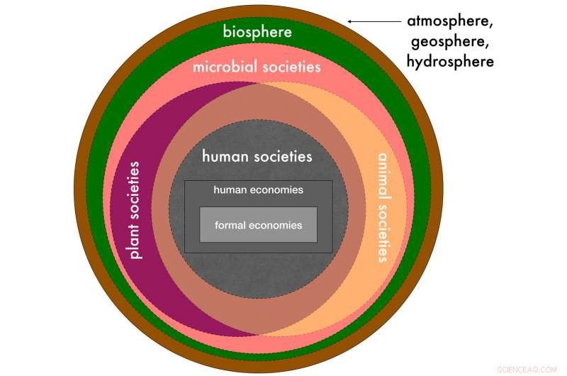 New Sustainability Definition Eliminates Critical Flaw in Global Transformation Efforts
