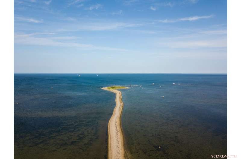 Assessing the Global Impact of Vegetable Oils for Sustainable Agriculture