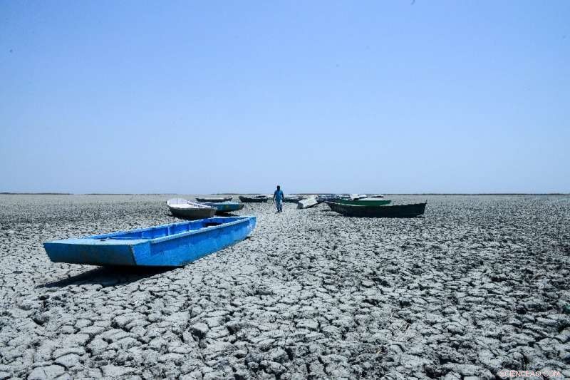 Net Zero Goals: What the Fine Print Reveals