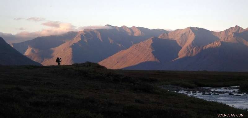 Arctic 2020: Sea Ice Decline and Record Wildfires Highlight Accelerating Climate Change