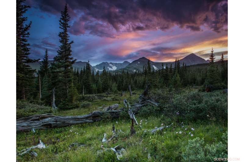 Colorado Mountains Rebound from Acid Rain: Signs of Ecological Recovery