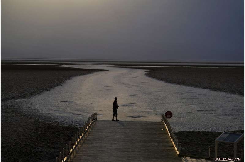 A Year of Unprecedented Climate Disasters: Storms, Fires, and Floods