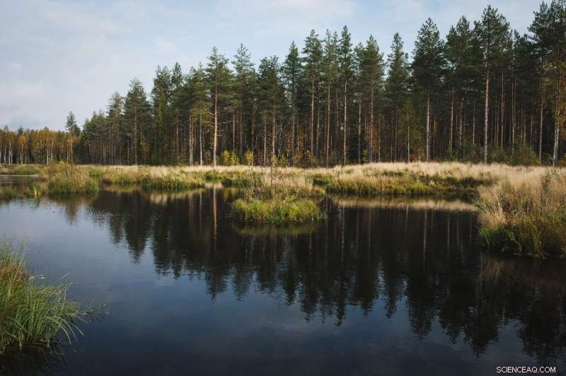 Finland Battles Controversial Peat Energy Use