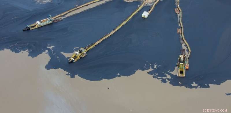 Harnessing Plants to Clean Oil Sands Tailings: A Sustainable Solution