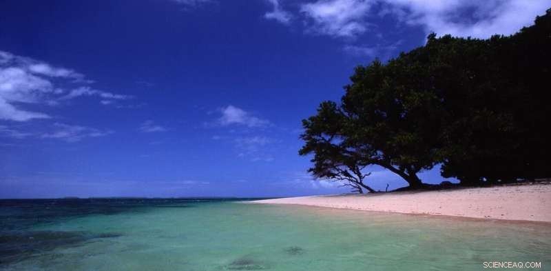 How Colonial Legacy Hinders the Marshall Islands’ Climate Resilience