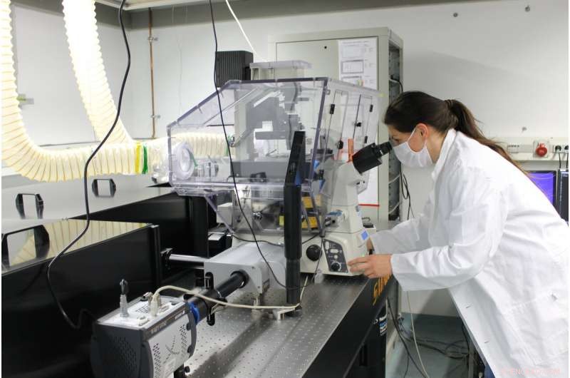 Weathered Microplastics More Readily Absorbed by Mouse Cells Than Pristine Variants