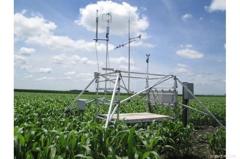 Can Earth s Plants Fully Sequester Rising CO₂? Understanding Their Limits