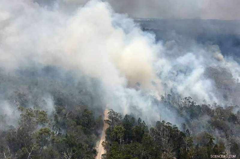 Storms Assist Australian Firefighters in Containing Blaze on UNESCO‑Listed Fraser Island