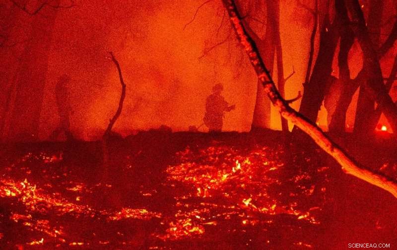 EU Reports Record Low Wildfire Activity in 2020 Despite Major Fires