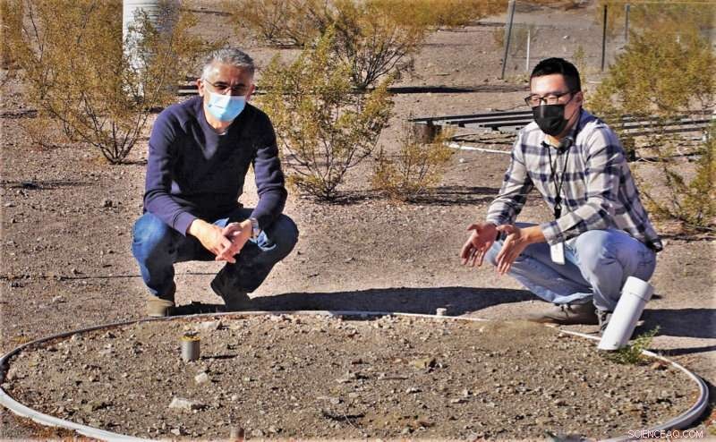 New Model Reveals How Desert Soils Respond to Rainfall