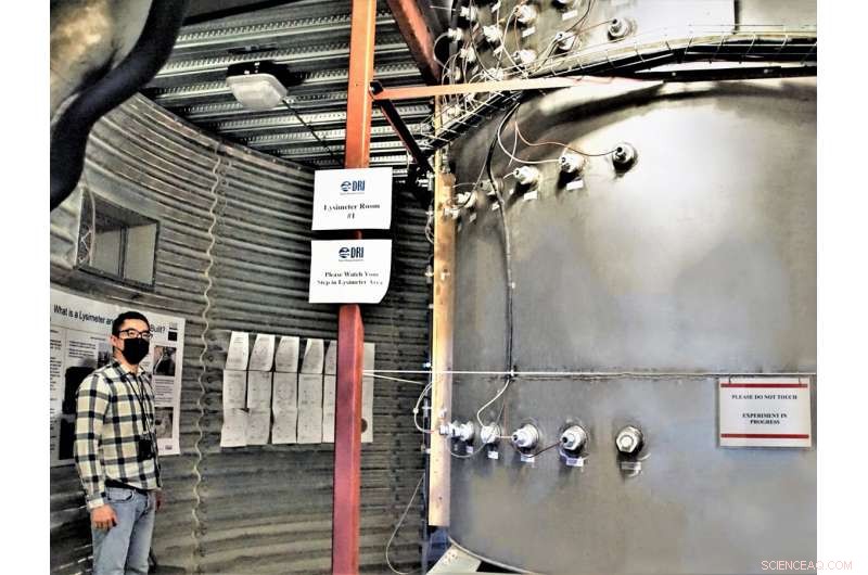 New Model Reveals How Desert Soils Respond to Rainfall