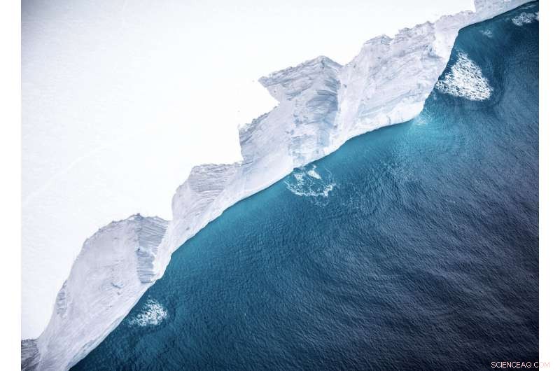 Expedition to Investigate the Impact of a Massive Floating Iceberg Near South Georgia