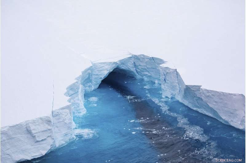 Expedition to Investigate the Impact of a Massive Floating Iceberg Near South Georgia