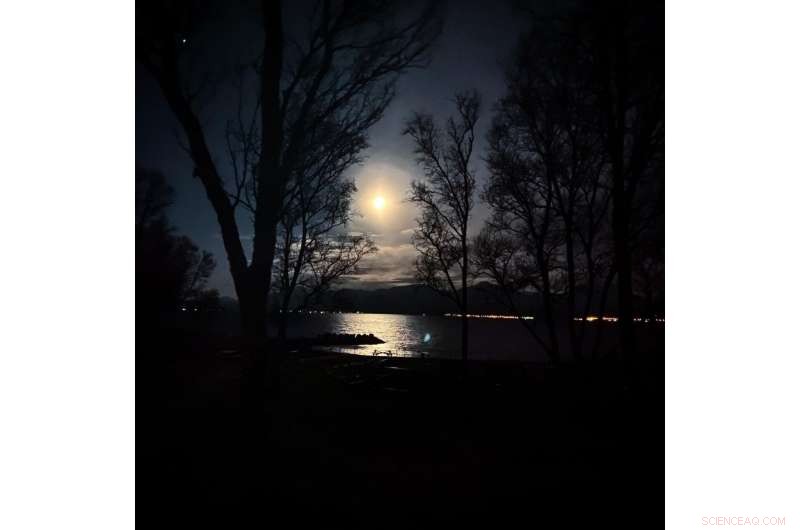 Moon s Gravitational Pull Drives Methane Release in the Arctic Ocean