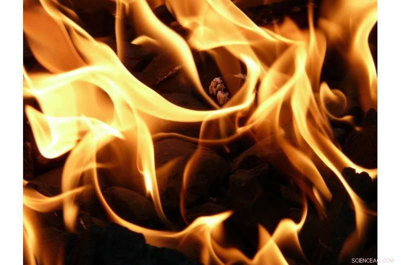 Unveiling the Hidden Health and Climate Risks of Biomass Burning Pollution