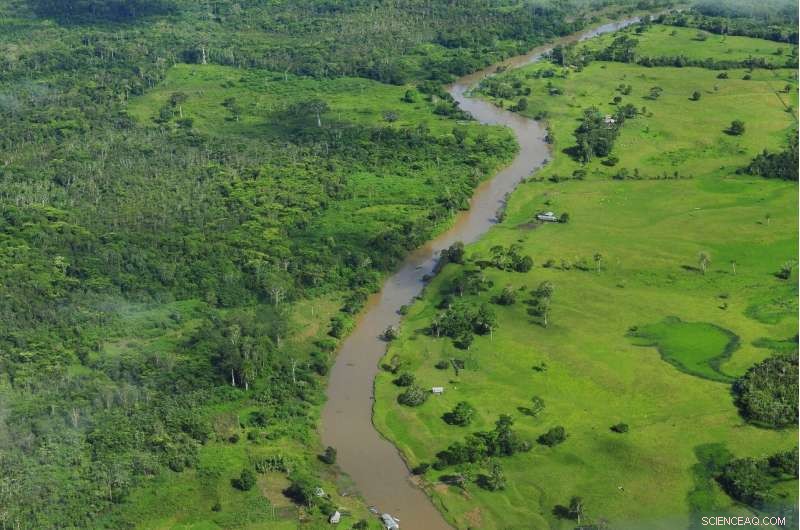 Tropical Deforestation & Peatland Loss: How Much Do They Contribute to Global Greenhouse Gas Emissions?