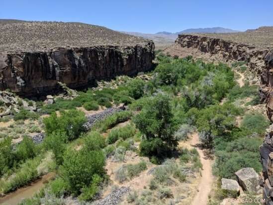 New Remote Sensing Study Maps Groundwater Across Southwest River Corridors