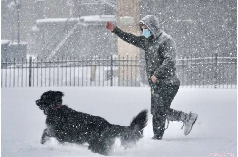 Massive Snowstorm Covers Northeast, Shutting Down Communities