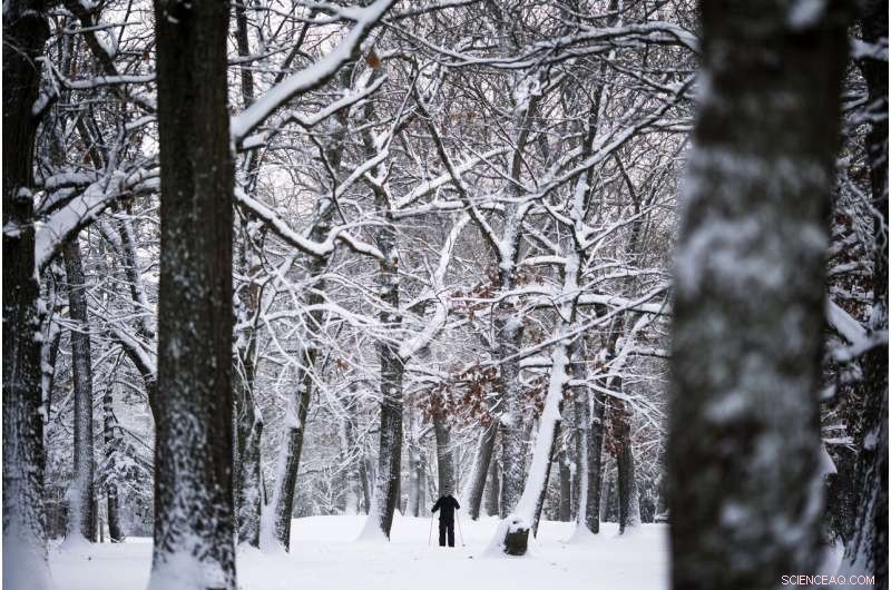 Massive Snowstorm Covers Northeast, Shutting Down Communities