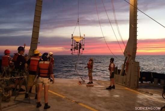 Exploring the Biogeochemistry of Ocean Anoxic Zones: Cutting‑Edge Research Insights