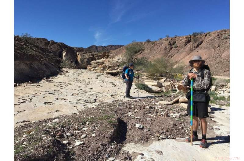 Colorado River Mystery Solved: Scientists Reveal Hidden Secrets