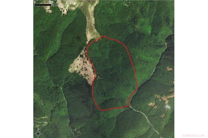 Scientists Decode Declassified Military Photos to Uncover Ecological Shifts Over Time