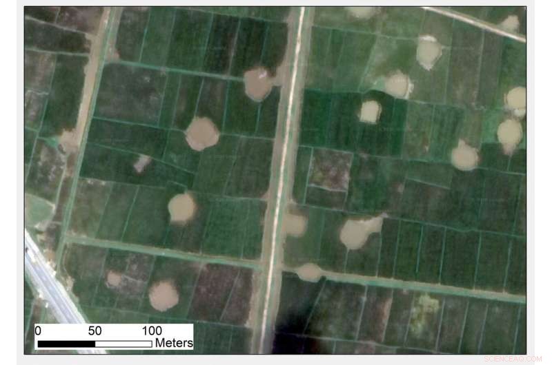 Scientists Decode Declassified Military Photos to Uncover Ecological Shifts Over Time