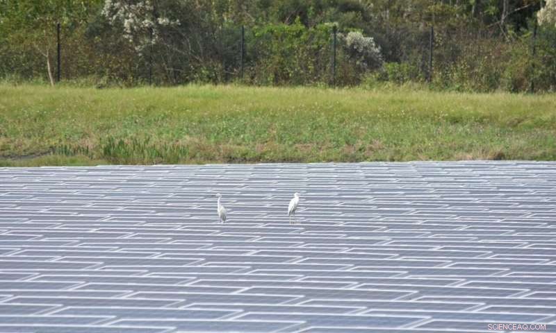 Roadmap to Renewable Energy Unites Climate Action and Sustainability Goals