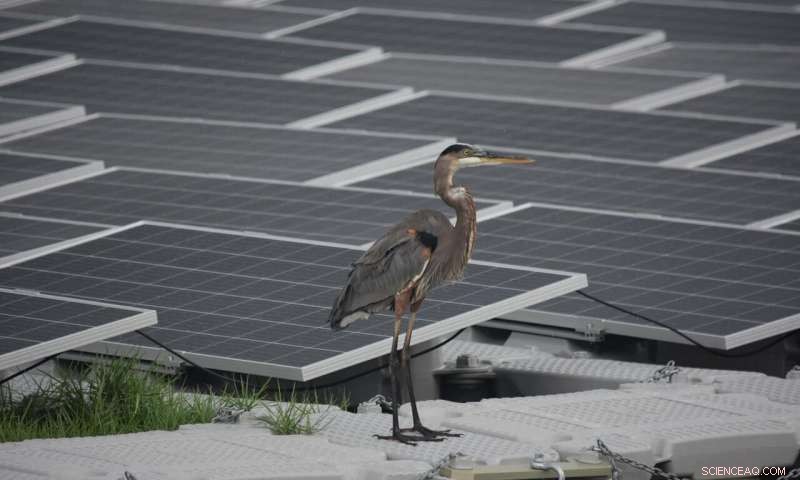 Roadmap to Renewable Energy Unites Climate Action and Sustainability Goals