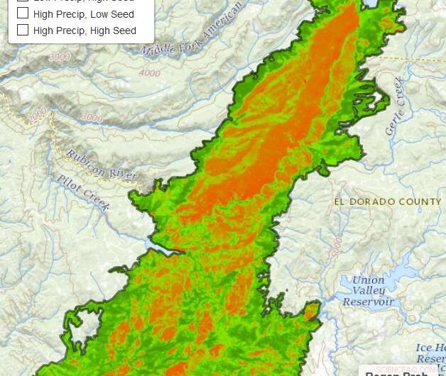 Strategic Reforestation Planning After Wildfires